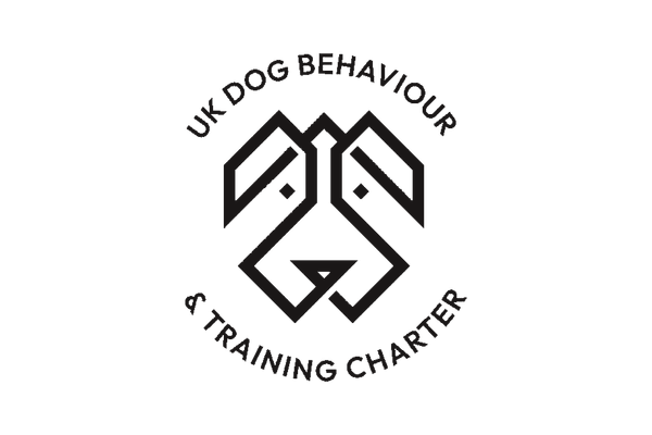 Client logo 29